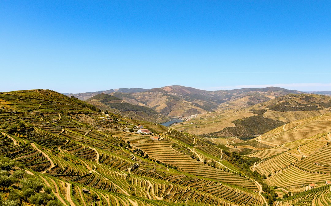 Vins du Douro : la vallée du Porto à Peso da Régua | Secret World Trip Planner