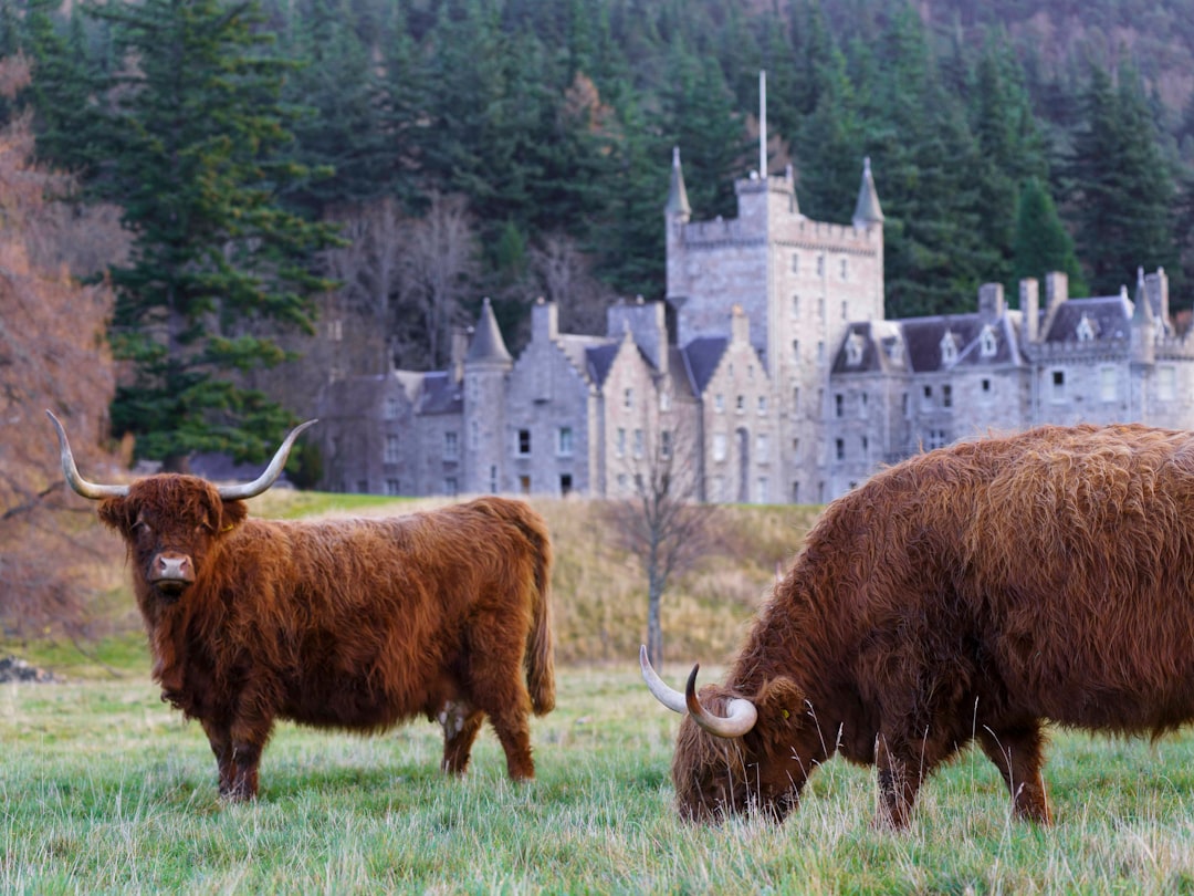 Découvrez Deer Abbey : un trésor historique d'Écosse - Mintlaw | Secret World Trip Planner
