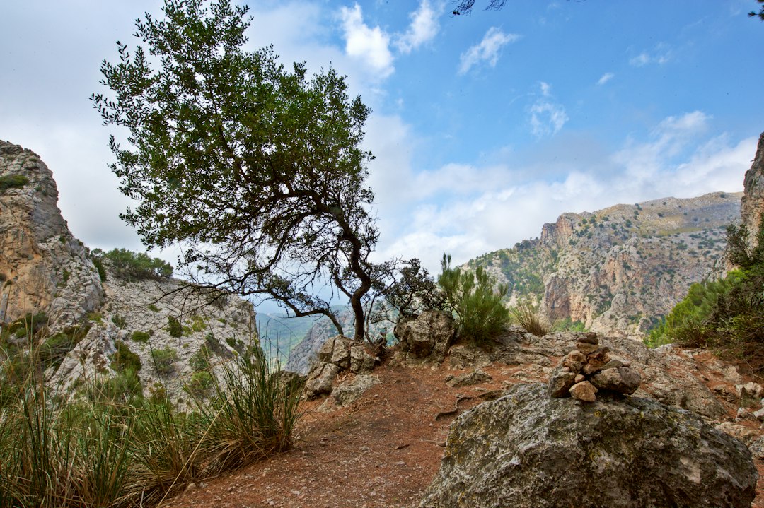 Mirador de ses Puntes: Valldemossa's Hidden Viewpoint - 07170 Valldemossa | Secret World Trip Planner