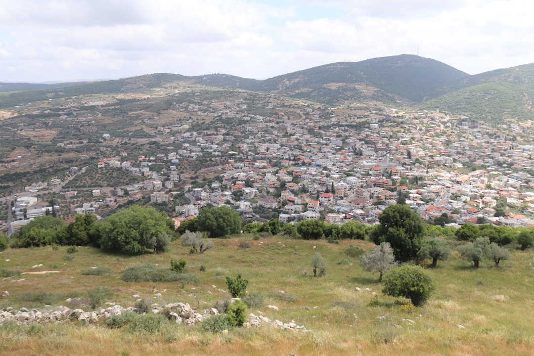 Domaine Economou: vini di culto a Sitia, Creta - Ziros (plateau Ziros) | Secret World Trip Planner
