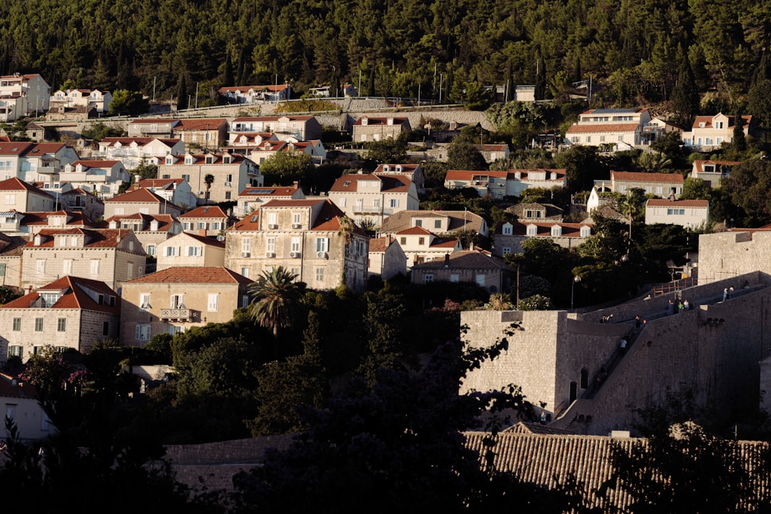 Domaine Economou: vini di culto a Sitia, Creta - Ziros (plateau Ziros) | Secret World Trip Planner