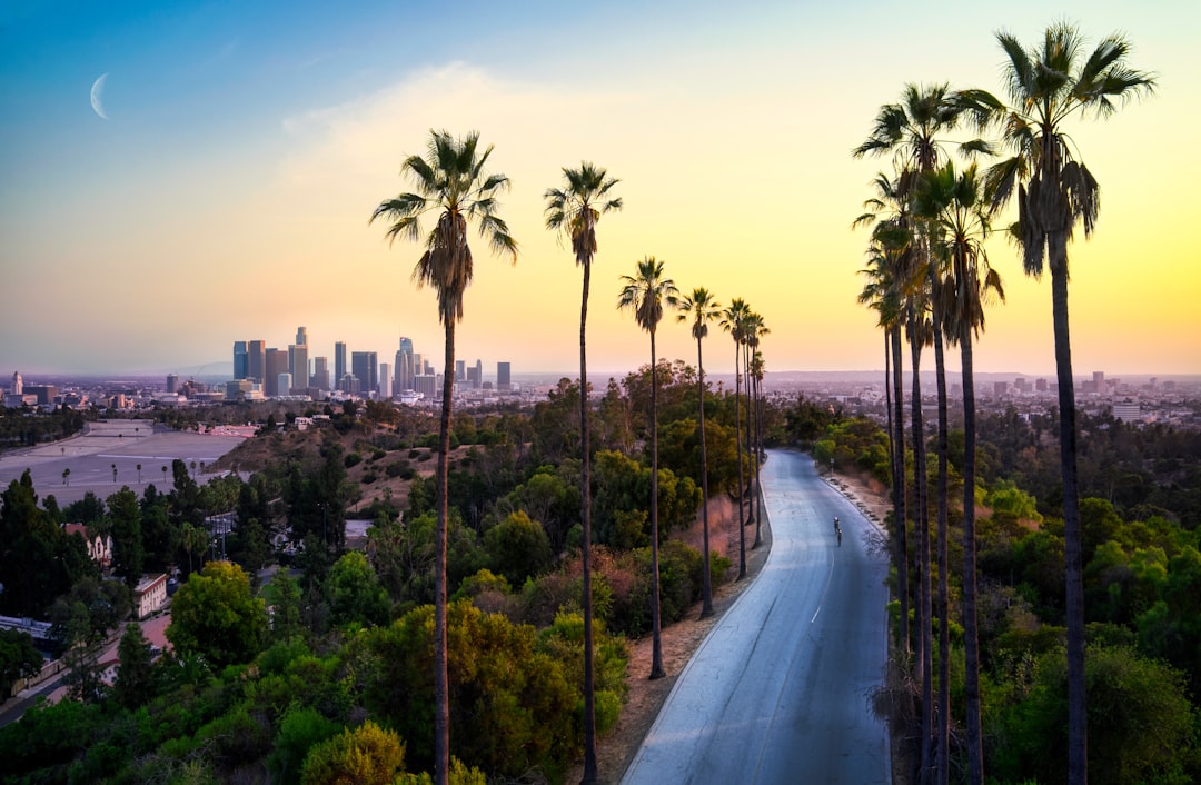 Wanderlog Alternatives 2026: i migliori per Los Angeles - Los Angeles | Secret World Trip Planner