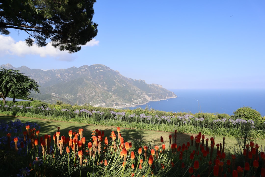 Il Giardino dei Tarocchi: sculture monumentali a Capalbio - Garavicchio | Secret World Trip Planner