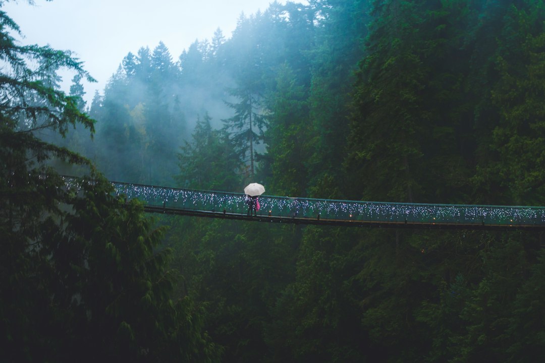 Capilano Bridge: 70 Meters Above the River - North Vancouver | Secret World Trip Planner