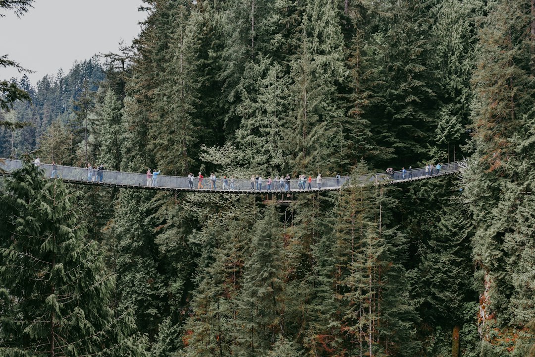 Capilano Bridge: 70 Meters Above the River - North Vancouver | Secret World Trip Planner