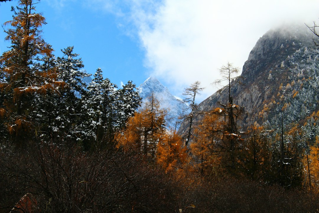 Lushan: le cascate che ispirarono i poeti Tang - Jiu Jiang Shi | Secret World Trip Planner