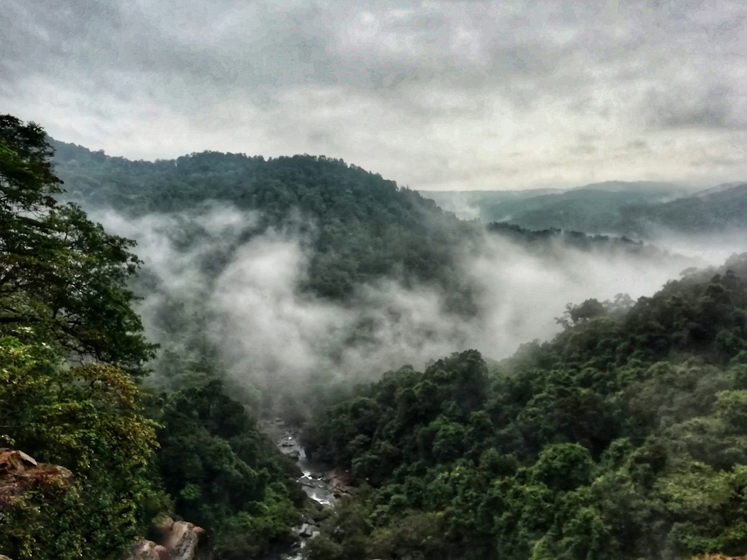 Udawatta Kele: The Royal Forest Above Kandy - Sangamitta Mawatha | Secret World Trip Planner