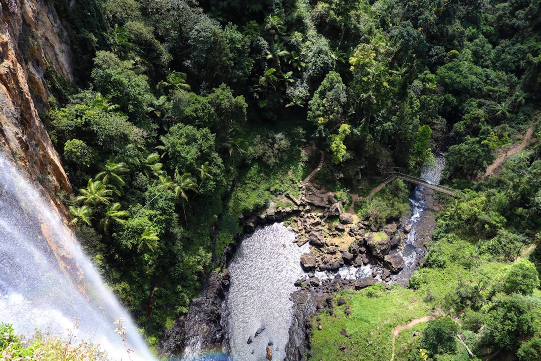 Udawatta Kele : la forêt royale au-dessus de Kandy — Sangamitta Mawatha
