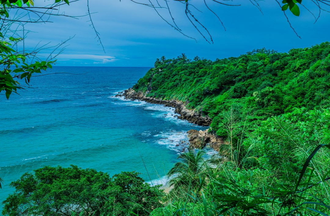 Playa Blanca to Barú: The White Beach of Colombian Caribbean - Cartagena de Indias | Secret World Trip Planner
