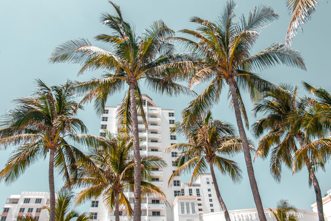 Que voir à Miami en 2026 : les incontournables - Miami | Secret World Trip Planner