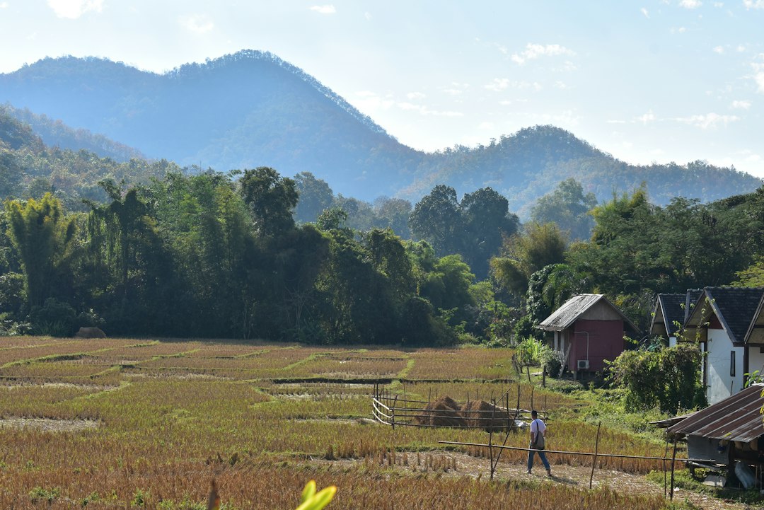 Doi Hua Mot: Un Paradiso Naturale in Thailandia - Umphang District | Secret World Trip Planner