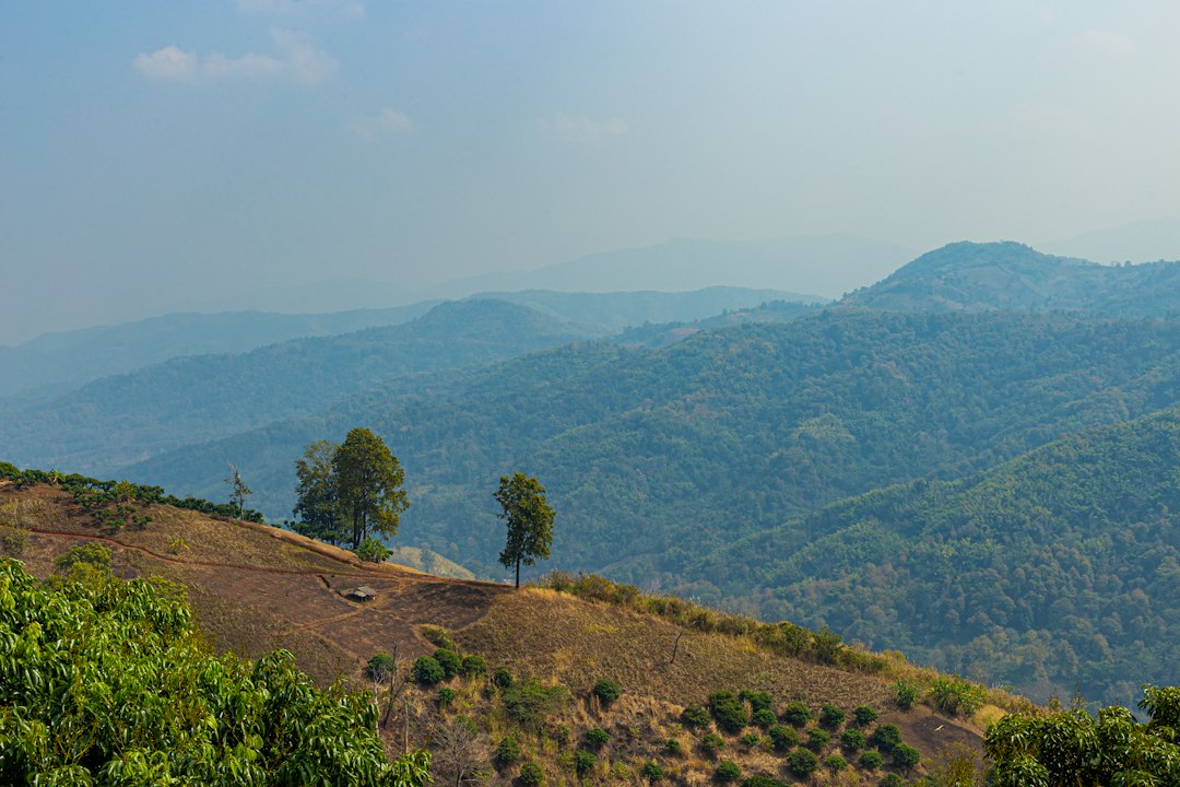 Doi Hua Mot : Un Paradis Naturel en Thaïlande - Umphang District | Secret World Trip Planner