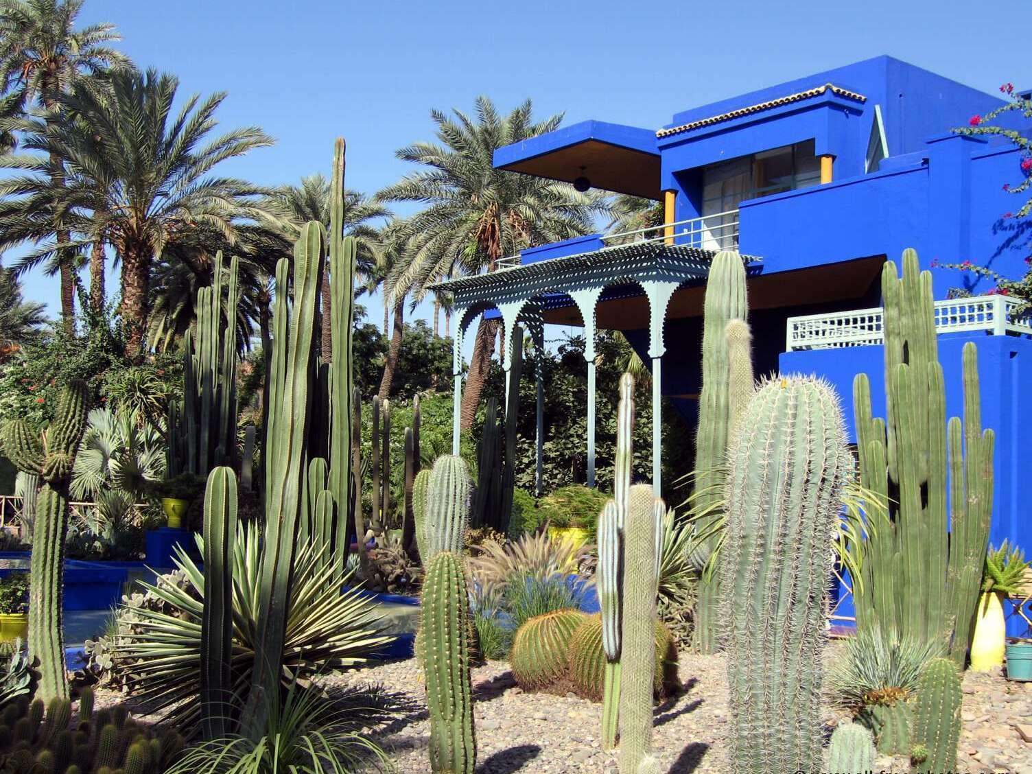 Rue Yves St Laurent Marrakech: Ya Majorelle Bustani - Marrakech | Secret World Trip Planner