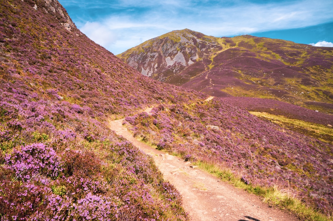 Parc national des Cairngorms - Ballater AB35 5YJ | Secret World Trip Planner