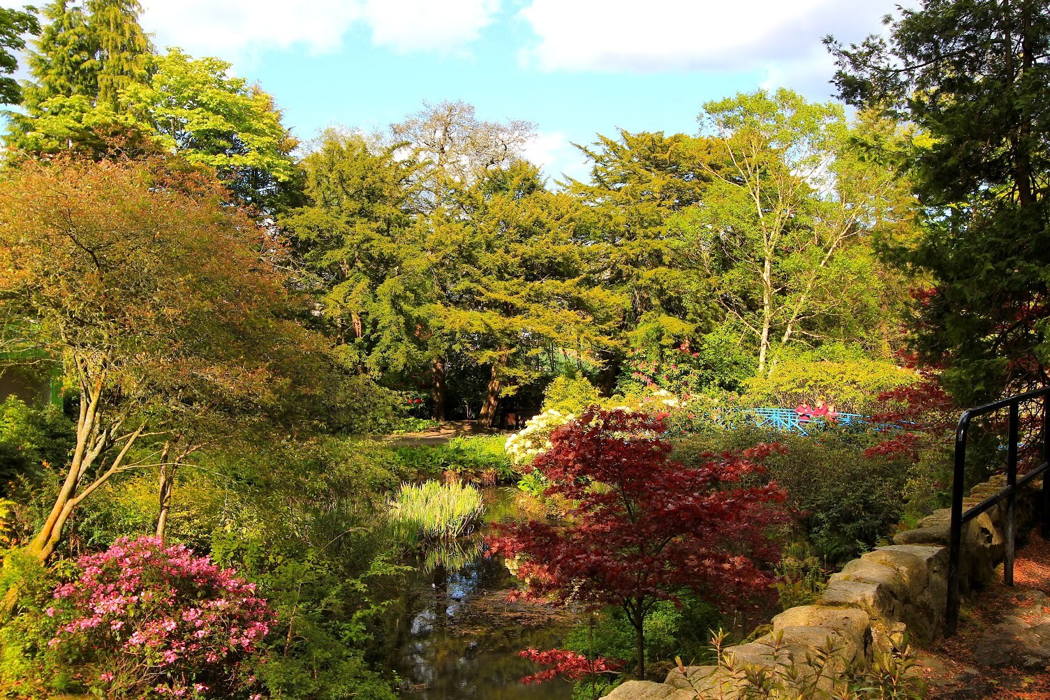 Les jardins Johnston à Aberdeen — Aberdeen