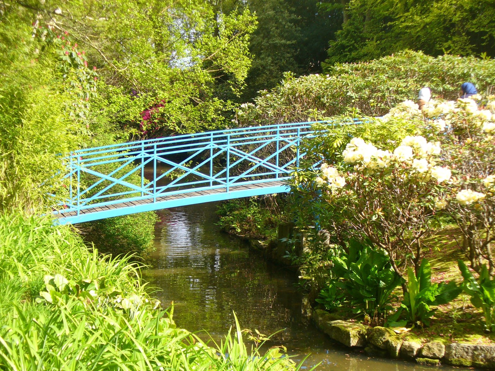 Les jardins Johnston à Aberdeen - Aberdeen | Secret World Trip Planner