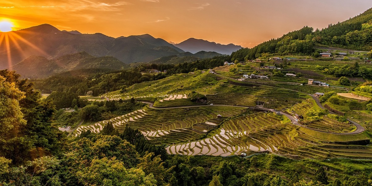 Tegallalang Rice Terraces - Kabupaten Gianyar | Secret World Trip Planner