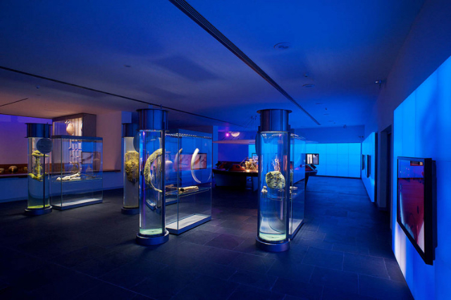 Musée national d'archéologie sous-marine - Cartagena | Secret World Trip Planner