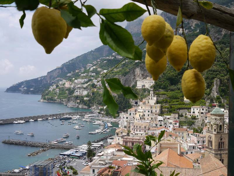 Amalfi lemon - Amalfi | Secret World Trip Planner