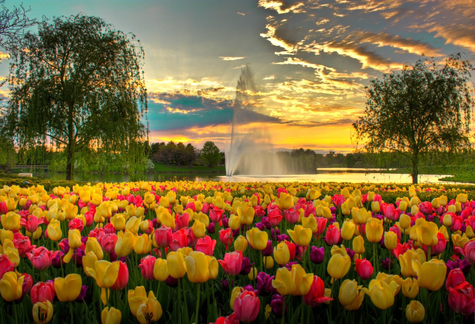 Le jardin botanique de Chicago - Glencoe | Secret World Trip Planner