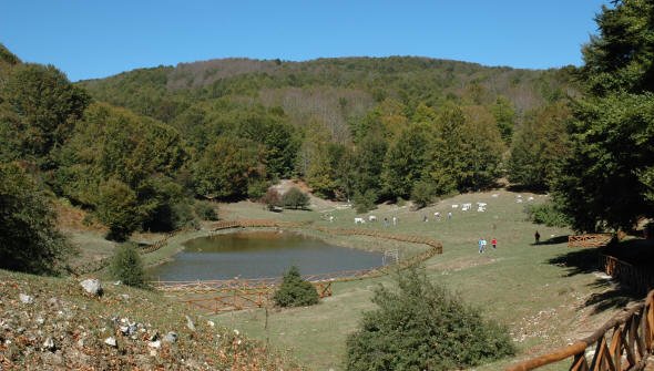 Verteglia lyguma - Montella | Secret World Trip Planner