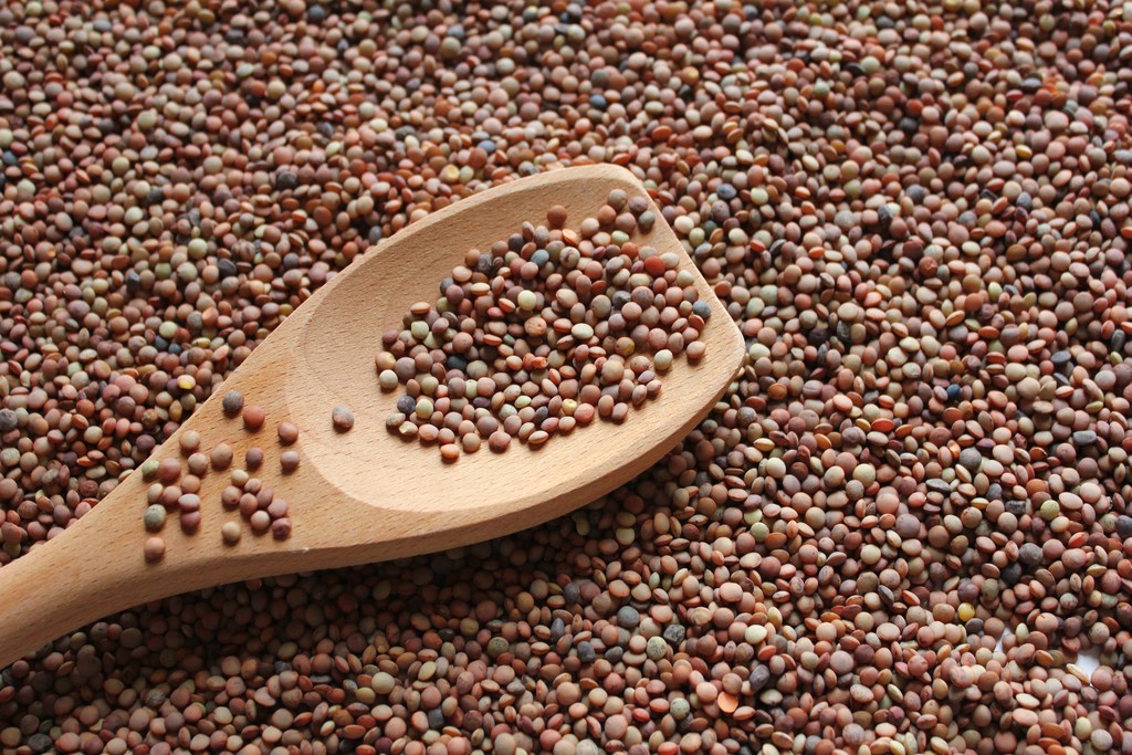 Lentilles de Castelluccio IGP — Castelluccio