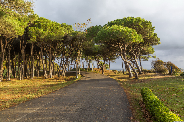 Parc de la Magdalena - Santander | Secret World Trip Planner