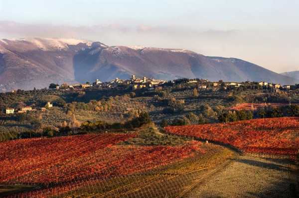 Sagrantino of Montefalco - Montefalco | Secret World Trip Planner