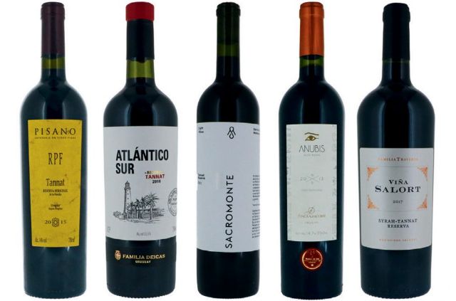 Genießen Sie einen guten Wein! - Montevideo Department | Secret World Trip Planner