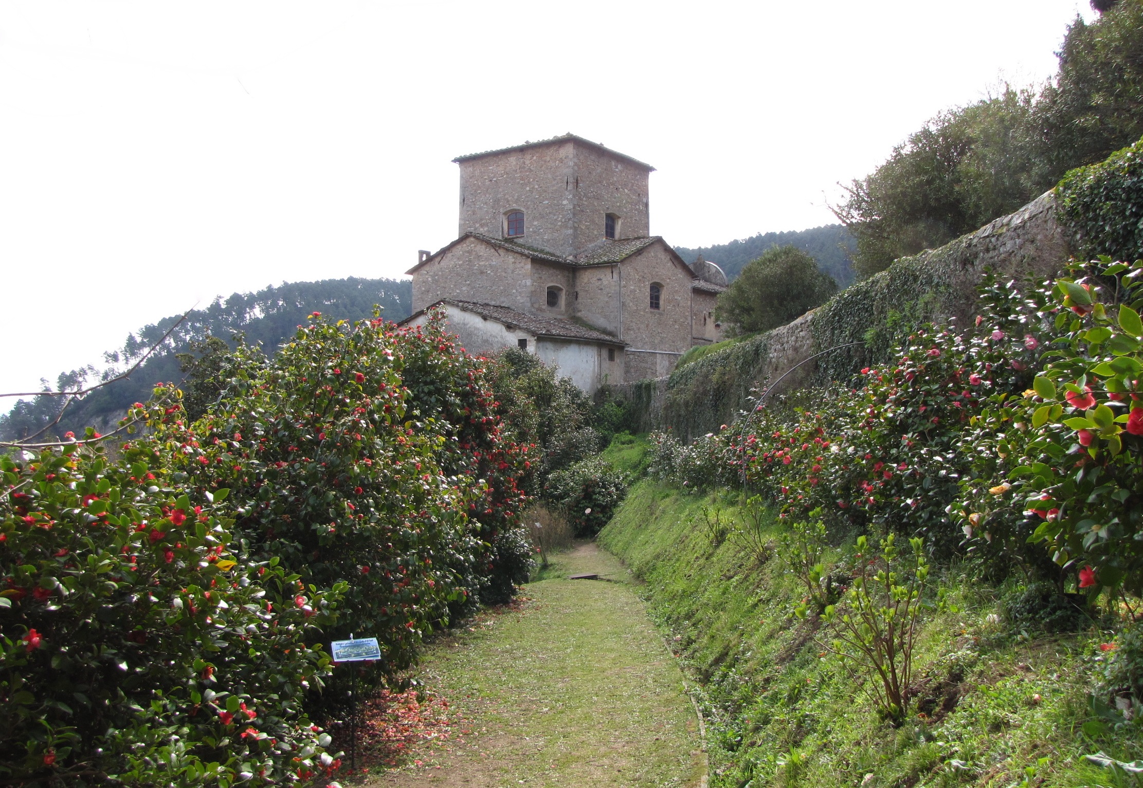 Antica Chiusa Borrini entre thé et beaux camélias - Capannori | Secret World Trip Planner
