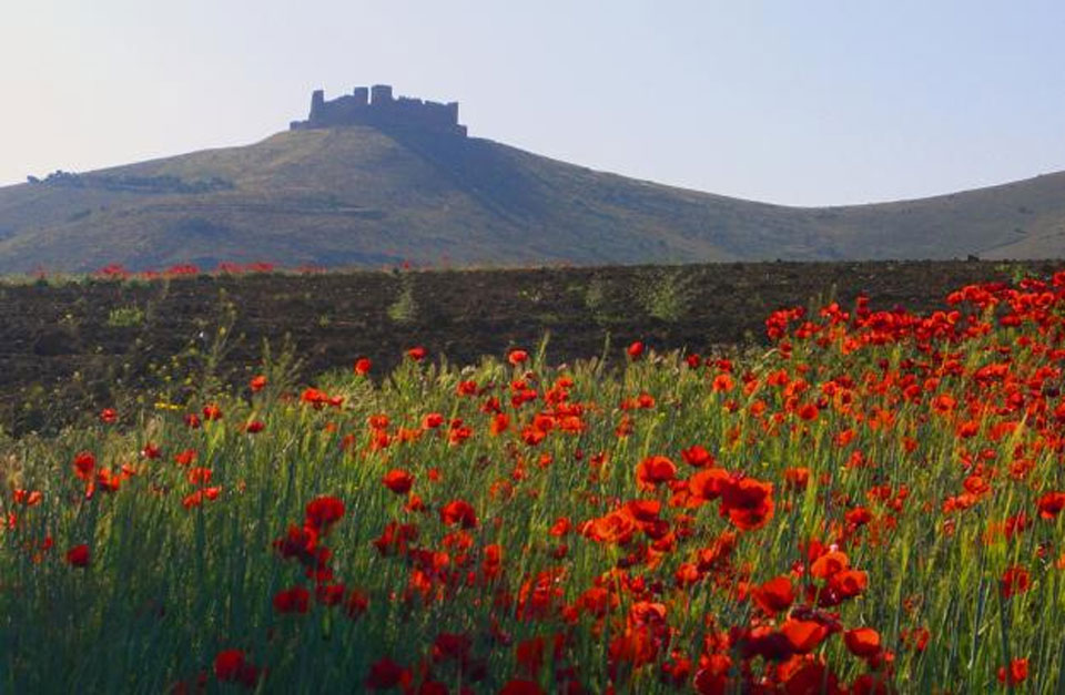 Château d'Almonacid de Tolède - Almonacid de Toledo | Secret World Trip Planner