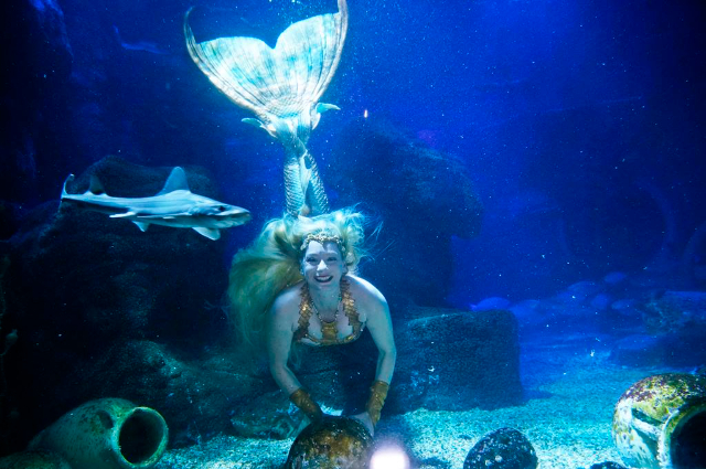 Meeresleben Speyer - Speyer | Secret World Trip Planner