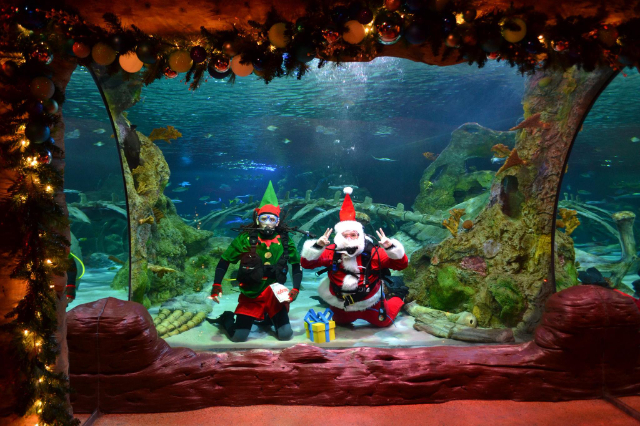 Acquario SEA LIFE Orlando - Orlando | Secret World Trip Planner