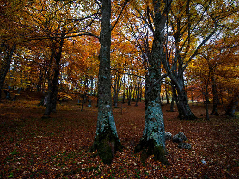 Ermitage de Saint-Antoine - Via del Colle | Secret World Trip Planner
