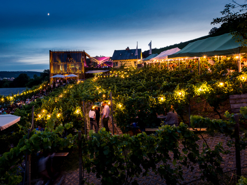 Sentier viticole de Wurzburg - Würzburg | Secret World Trip Planner