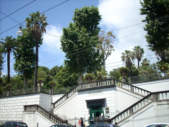 Grădina Botanică din Napoli - Napoli | Secret World Trip Planner