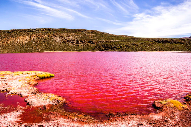 Red Lagoon - Tarapacá | Secret World Trip Planner