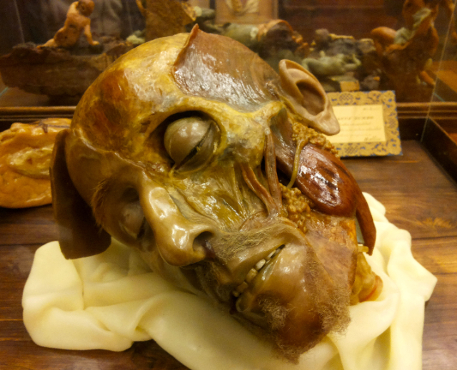 Anatomisches Wachsmuseum - Cagliari | Secret World Trip Planner