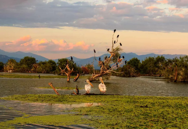 Le lac de Kerkini : Un paradis naturel dans le nord de la Grèce - Lake Kerkini | Secret World Trip Planner