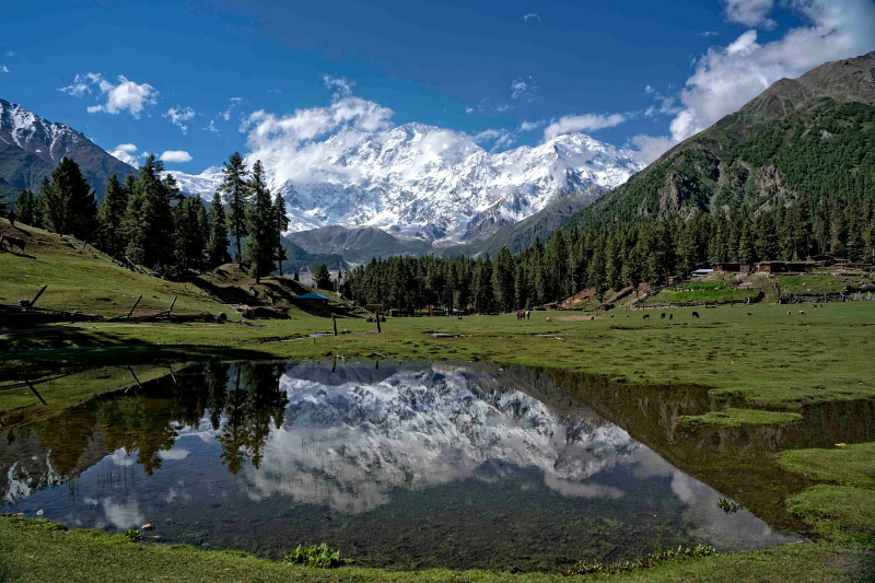 Parc national de Fairy Meadows, Pakistan - Fairy Meadows | Secret World Trip Planner
