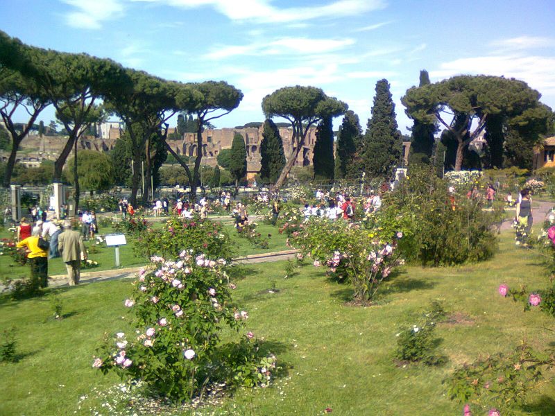Roseto comunale सभी'aventino - Roma | Secret World Trip Planner