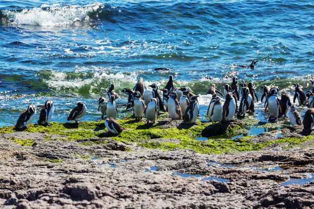 Magallanes National Reserve - Monterusciello | Secret World Trip Planner