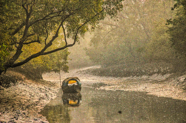 La foresta di riserva di Sundarbans (SRF) | Secret World Trip Planner