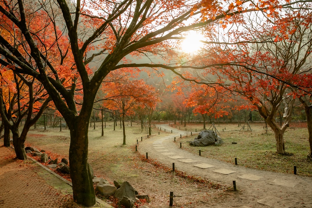 Seoul: Samneung Park  - Gangnam-gu | Secret World Trip Planner