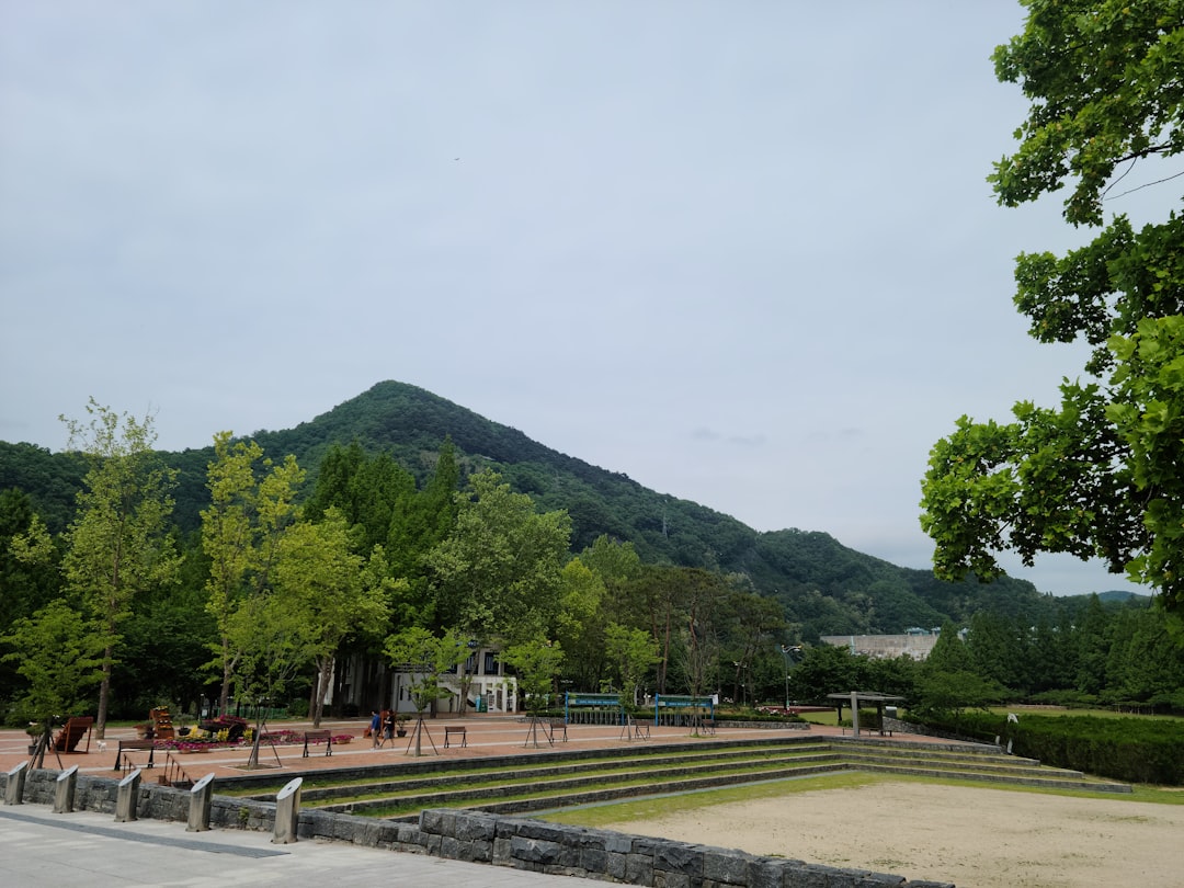 Seoul: Samneung Park  - Gangnam-gu | Secret World Trip Planner