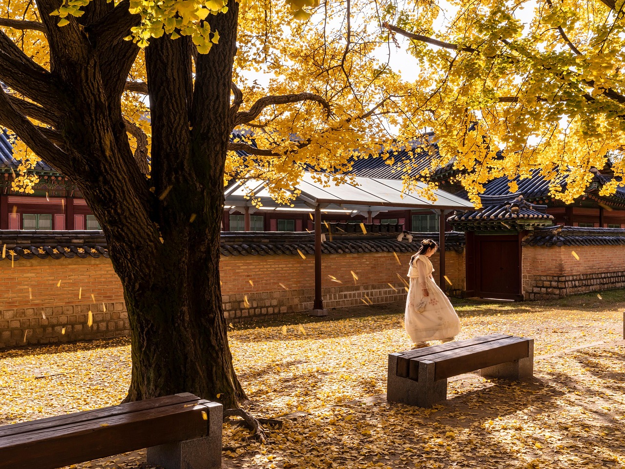Seoul | Gyeongbokgung Palace - Jongno-gu | Secret World Trip Planner