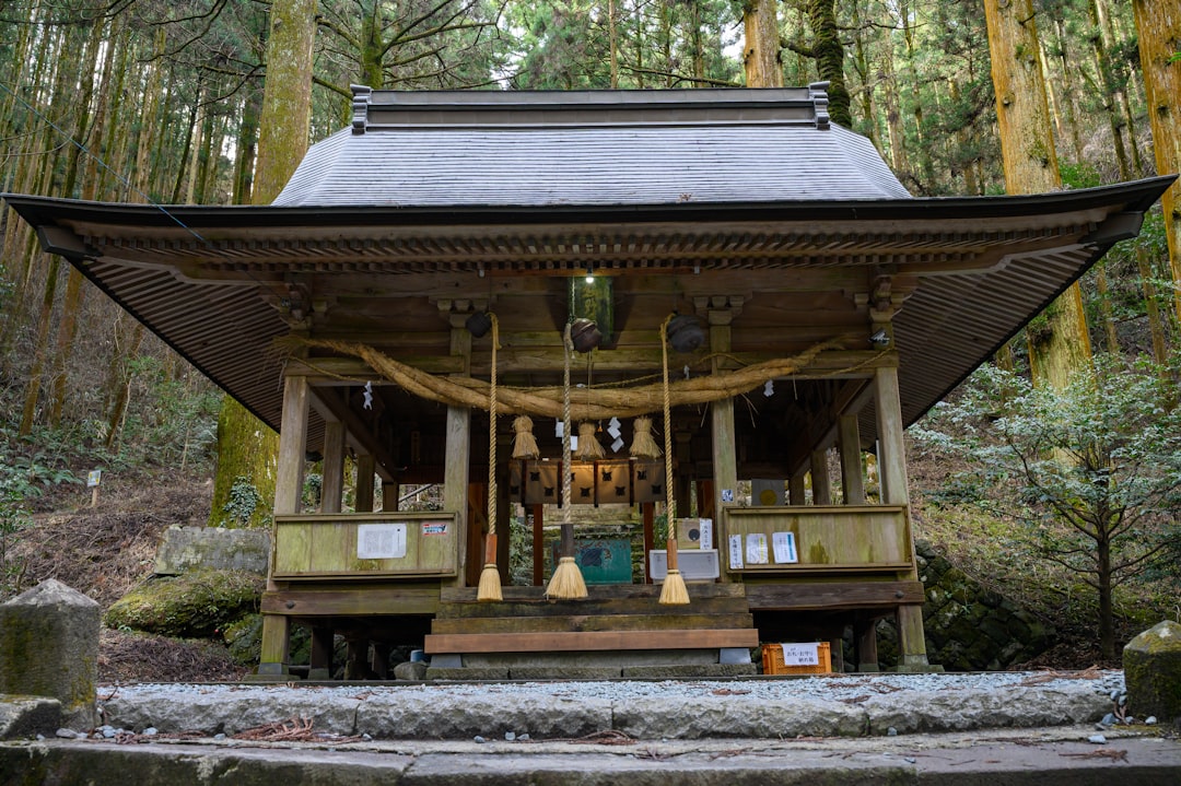Le Sumiyoshi Taisha d'Osaka est l'un des plus anciens sanctuaires du Japon - Kita, Osaka | Secret World Trip Planner