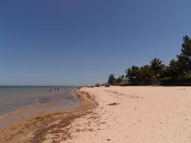 Foulpoint Strand - Foul Poite | Secret World Trip Planner
