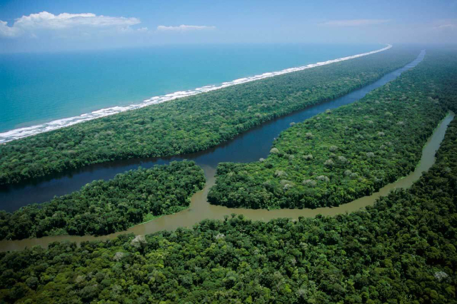Parc national de Tortuguero - Provincia di Limón | Secret World Trip Planner
