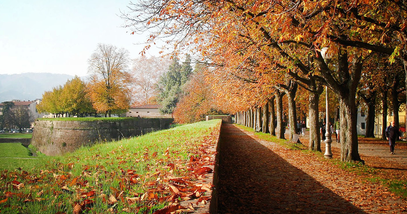 അത്ഭുതകരമായ walls of Lucca - Lucca | Secret World Trip Planner